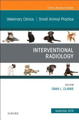 bokomslag Interventional Radiology, An Issue of Veterinary Clinics of North America: Small Animal Practice