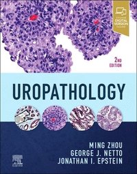 bokomslag Uropathology