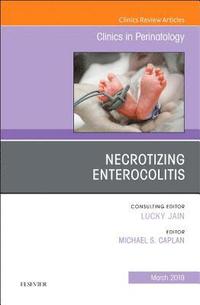 bokomslag Necrotizing Enterocolitis, An Issue of Clinics in Perinatology