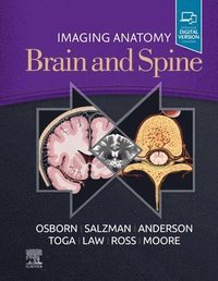 bokomslag Imaging Anatomy Brain and Spine
