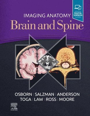Anne G. Osborn, Karen L. Salzman, Jeffrey S. Anderson, Arthur W. Toga, Meng Law, Jeffrey S. Ross, Kevin R. Moore - Imaging Anatomy Brain and Spine, Inbunden