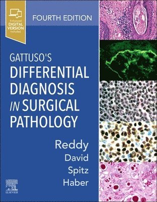 bokomslag Gattuso's Differential Diagnosis in Surgical Pathology