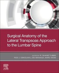 bokomslag Surgical Anatomy of the Lateral Transpsoas Approach to the Lumbar Spine