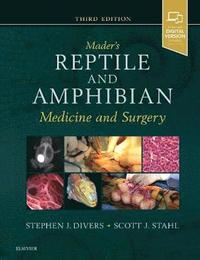 bokomslag Mader's Reptile and Amphibian Medicine and Surgery