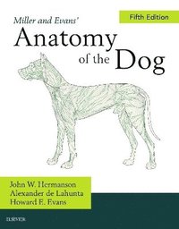 bokomslag Miller's Anatomy of the Dog