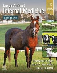 bokomslag Large Animal Internal Medicine