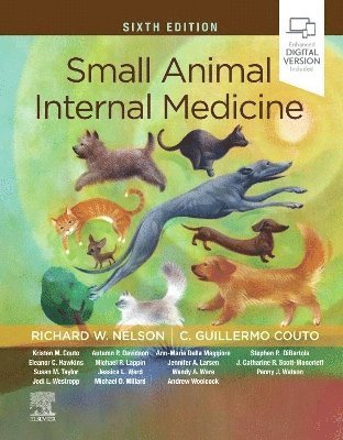 bokomslag Small Animal Internal Medicine