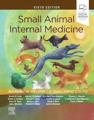 Small Animal Internal Medicine 1