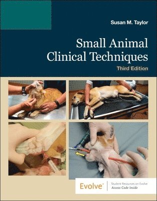 bokomslag Small Animal Clinical Techniques