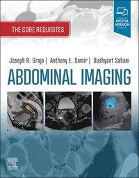 bokomslag Abdominal Imaging