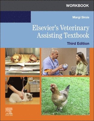 Margi Sirois - Workbook for Elsevier's Veterinary Assisting Textbook, Häftad