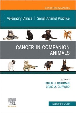 Cancer in Companion Animals, An Issue of Veterinary Clinics of North America: Small Animal Practice 1