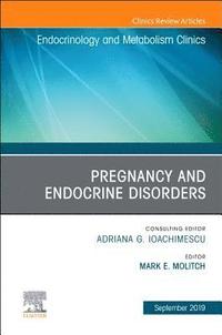 bokomslag Pregnancy and Endocrine Disorders, An Issue of Endocrinology and Metabolism Clinics of North America
