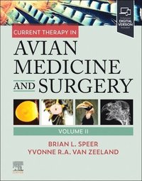 bokomslag Current Therapy in Avian Medicine and Surgery Volume II