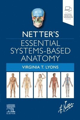 bokomslag Netter's Essential Systems-Based Anatomy