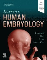 Gary C. Schoenwolf, Steven B. Bleyl, Philip R. Brauer, Philippa H. Francis-West - Larsen's Human Embryology, Häftad