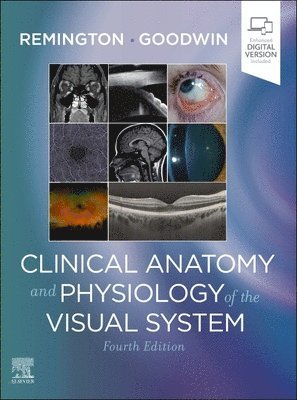 bokomslag Clinical Anatomy and Physiology of the Visual System