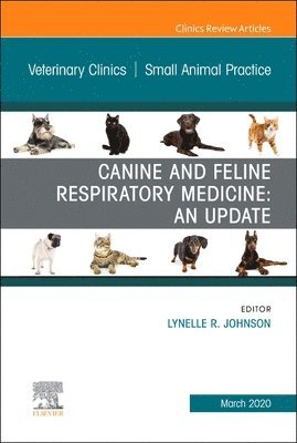 Canine and Feline Respiratory Medicine, An Issue of Veterinary Clinics of North America: Small Animal Practice 1