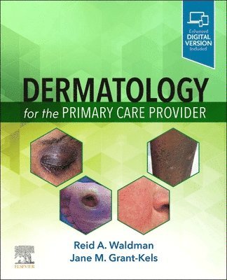 bokomslag Dermatology for the Primary Care Provider