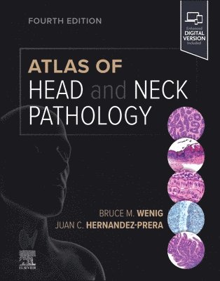 bokomslag Atlas of Head and Neck Pathology