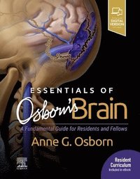 bokomslag Essentials of Osborn's Brain