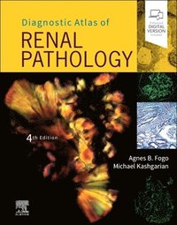 bokomslag Diagnostic Atlas of Renal Pathology