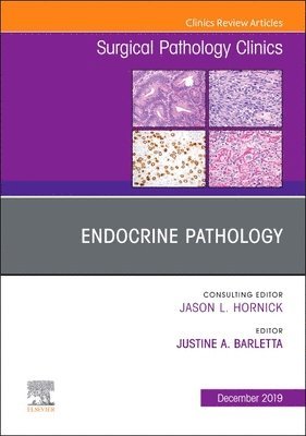 Justine A Barletta, Justine A. Barletta - Endocrine Pathology, An Issue of Surgical Pathology Clinics, Inbunden