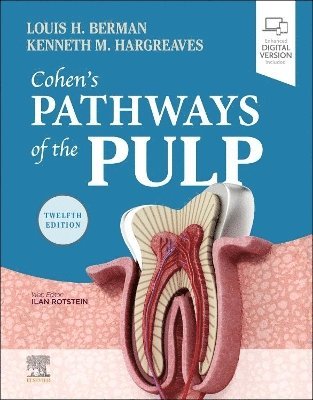 bokomslag Cohen's Pathways of the Pulp