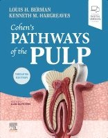 Cohen's Pathways of the Pulp 1