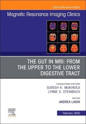 bokomslag MR Imaging of the Bowel, An Issue of Magnetic Resonance Imaging Clinics of North America