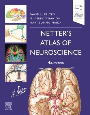 bokomslag Netter's Atlas of Neuroscience