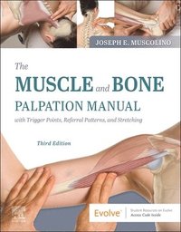bokomslag The Muscle and Bone Palpation Manual with Trigger Points, Referral Patterns and Stretching