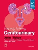 Mahul B. Amin, Satish K. Tickoo - Diagnostic Pathology: Genitourinary, Inbunden