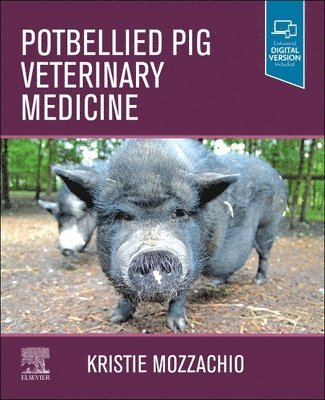 bokomslag Potbellied Pig Veterinary Medicine