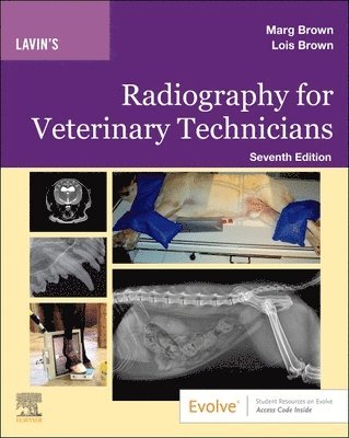 bokomslag Lavin's Radiography for Veterinary Technicians