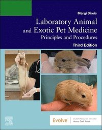 bokomslag Laboratory Animal and Exotic Pet Medicine