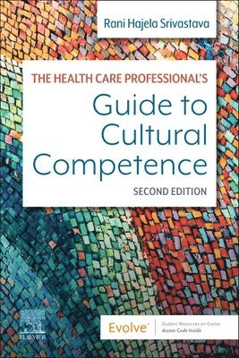 bokomslag Health Care Professional's Guide to Cultural Competence