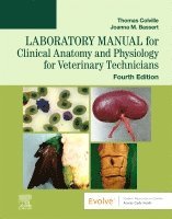 bokomslag Laboratory Manual for Clinical Anatomy and Physiology for Veterinary Technicians