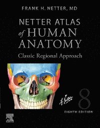 bokomslag Netter Atlas of Human Anatomy: Classic Regional Approach (hardcover)
