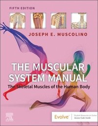 bokomslag The Muscular System Manual