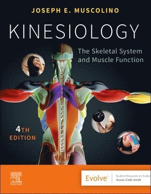 bokomslag Kinesiology