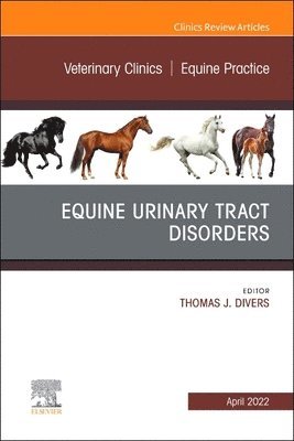 bokomslag Equine Urinary Tract Disorders, An Issue of Veterinary Clinics of North America: Equine Practice