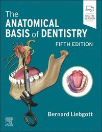 bokomslag The Anatomical Basis of Dentistry