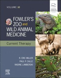 bokomslag Fowler's Zoo and Wild Animal Medicine Current Therapy,Volume 10