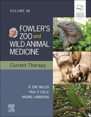 Fowler's Zoo and Wild Animal Medicine Current Therapy,Volume 10 1