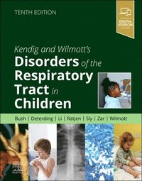 bokomslag Kendig and Wilmott's Disorders of the Respiratory Tract in Children