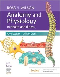bokomslag Ross & Wilson Anatomy and Physiology in Health and Illness