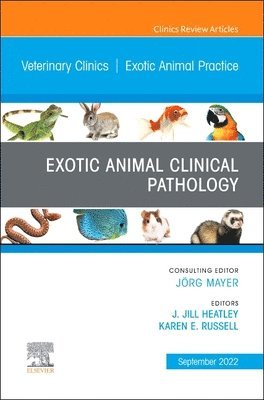 bokomslag Exotic Animal Clinical Pathology, An Issue of Veterinary Clinics of North America: Exotic Animal Practice