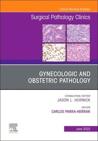 bokomslag Gynecologic and Obstetric Pathology, An Issue of Surgical Pathology Clinics