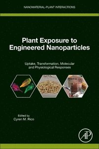 bokomslag Plant Exposure to Engineered Nanoparticles